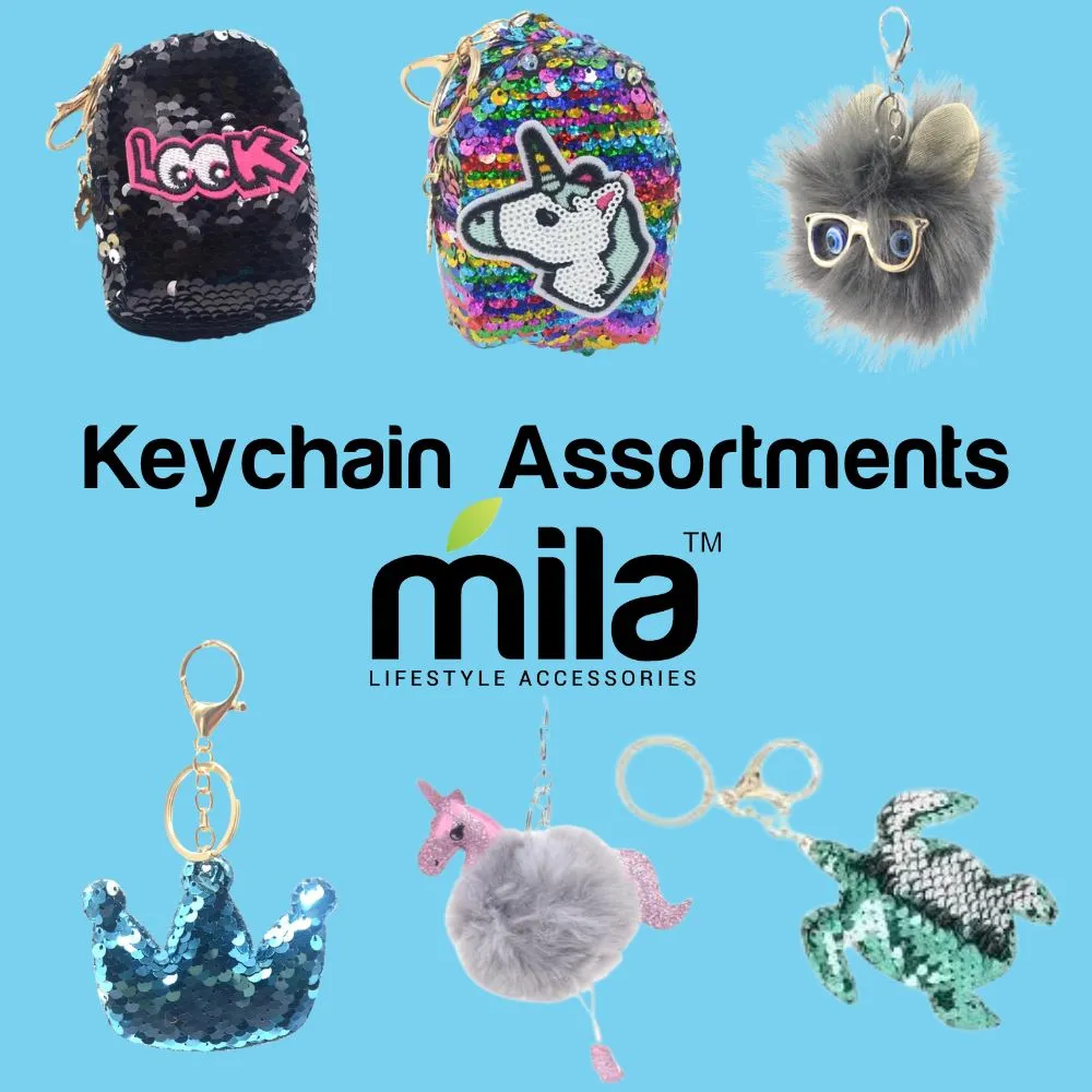 Assorted Keychains 24 pack