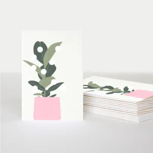 Caroline Gardiner 10 Card Pack |  Flowers