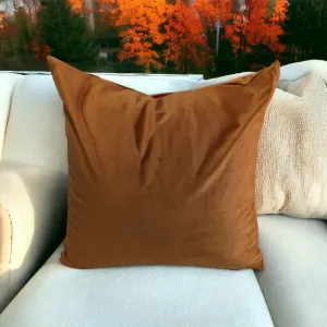 Cozy Fall Burnt Orange Velvet Pillow Cover