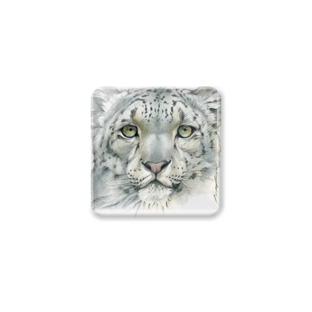 [CST-465] Snow Leopard Portrait Coasters