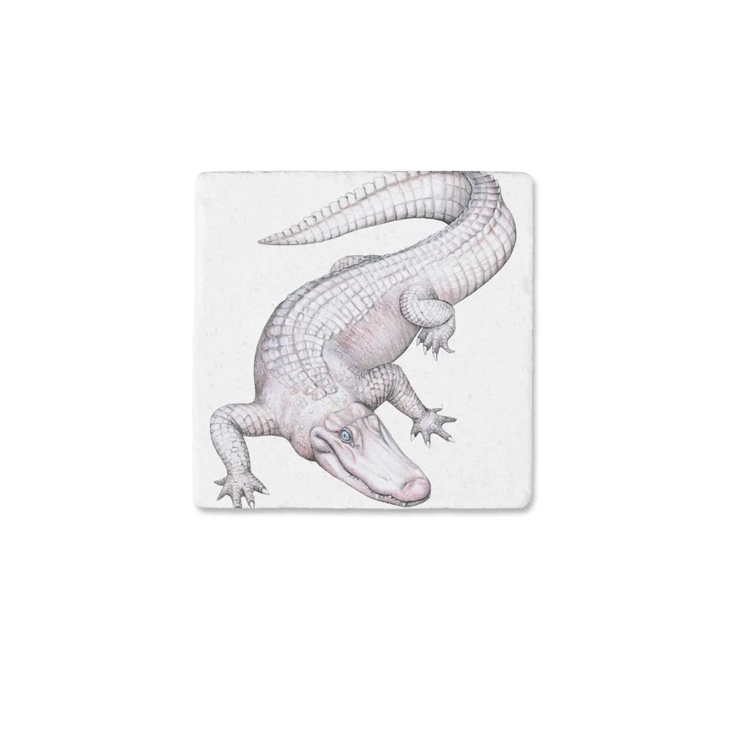 [CST-702] American White Alligator2 Coasters