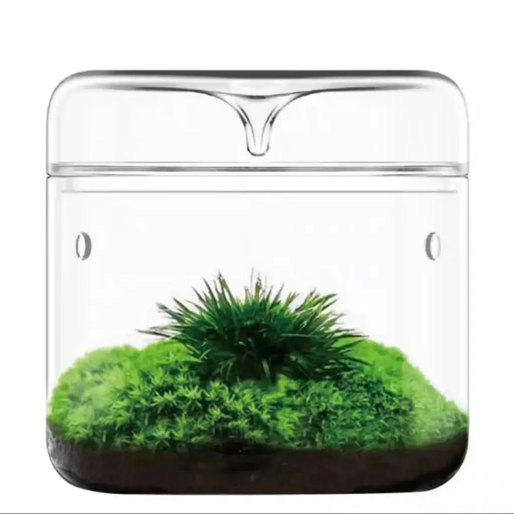 Geometric Terrarium 15cmx16cm L(R18)