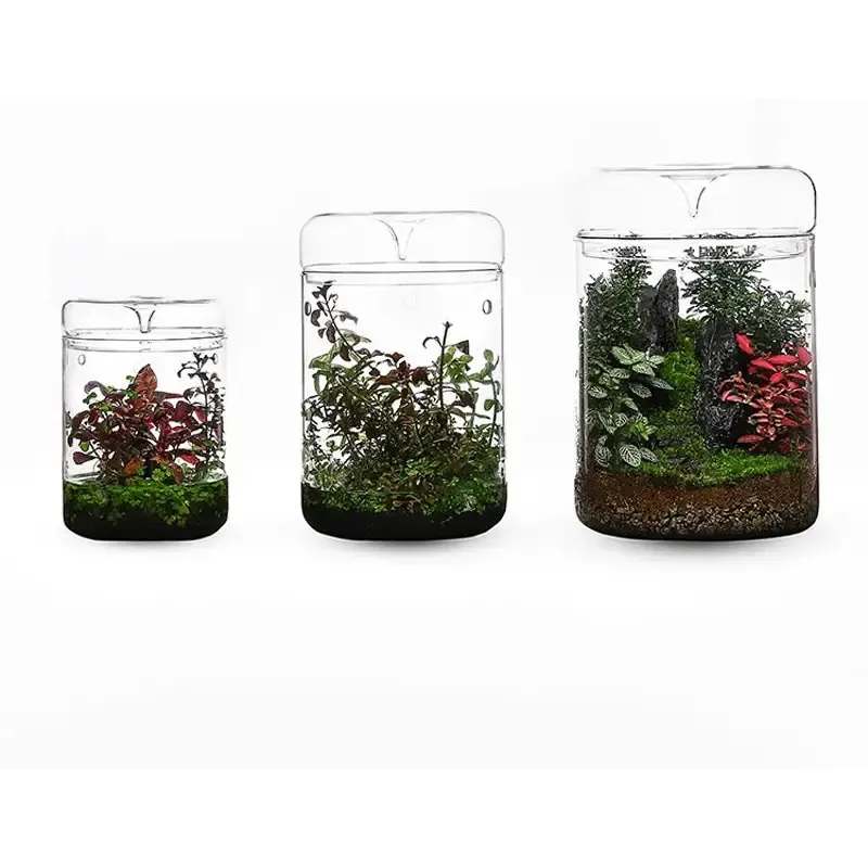 Geometric Terrarium 15cmx16cm L(R18)