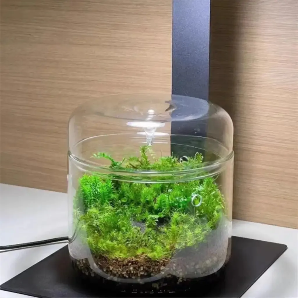 Geometric Terrarium 15cmx16cm L(R18)