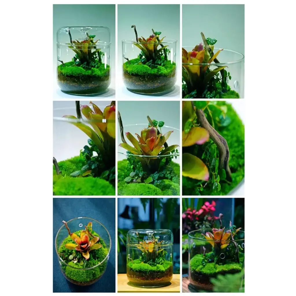 Geometric Terrarium 15cmx16cm L(R18)