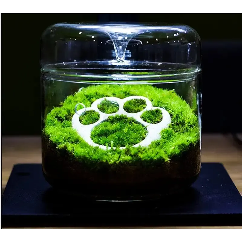 Geometric Terrarium 15cmx16cm L(R18)