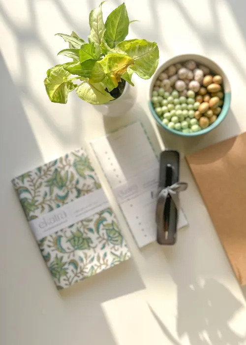 Green Floral Sustainable Productivity Gift Hamper By Ekatra