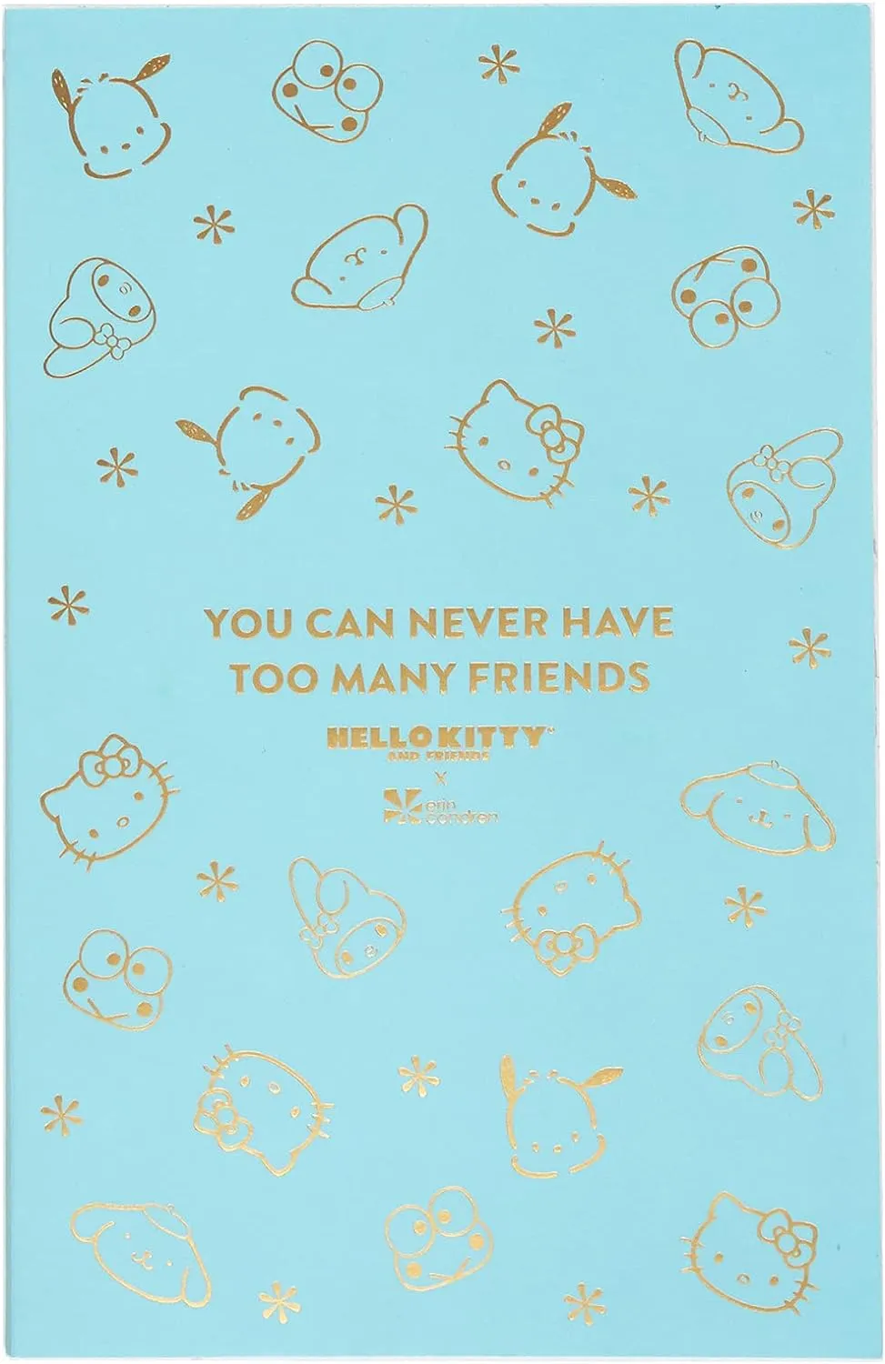 Hello Kitty and Friends x Erin Condren Sticker Book