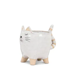 Kitty Pot