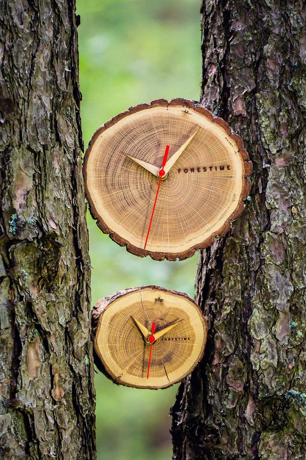 Laika Oak Slice Wall Clock