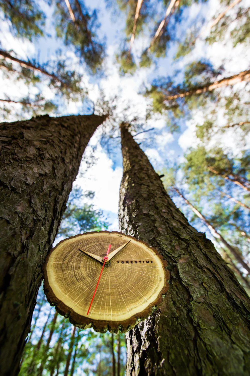 Laika Oak Slice Wall Clock