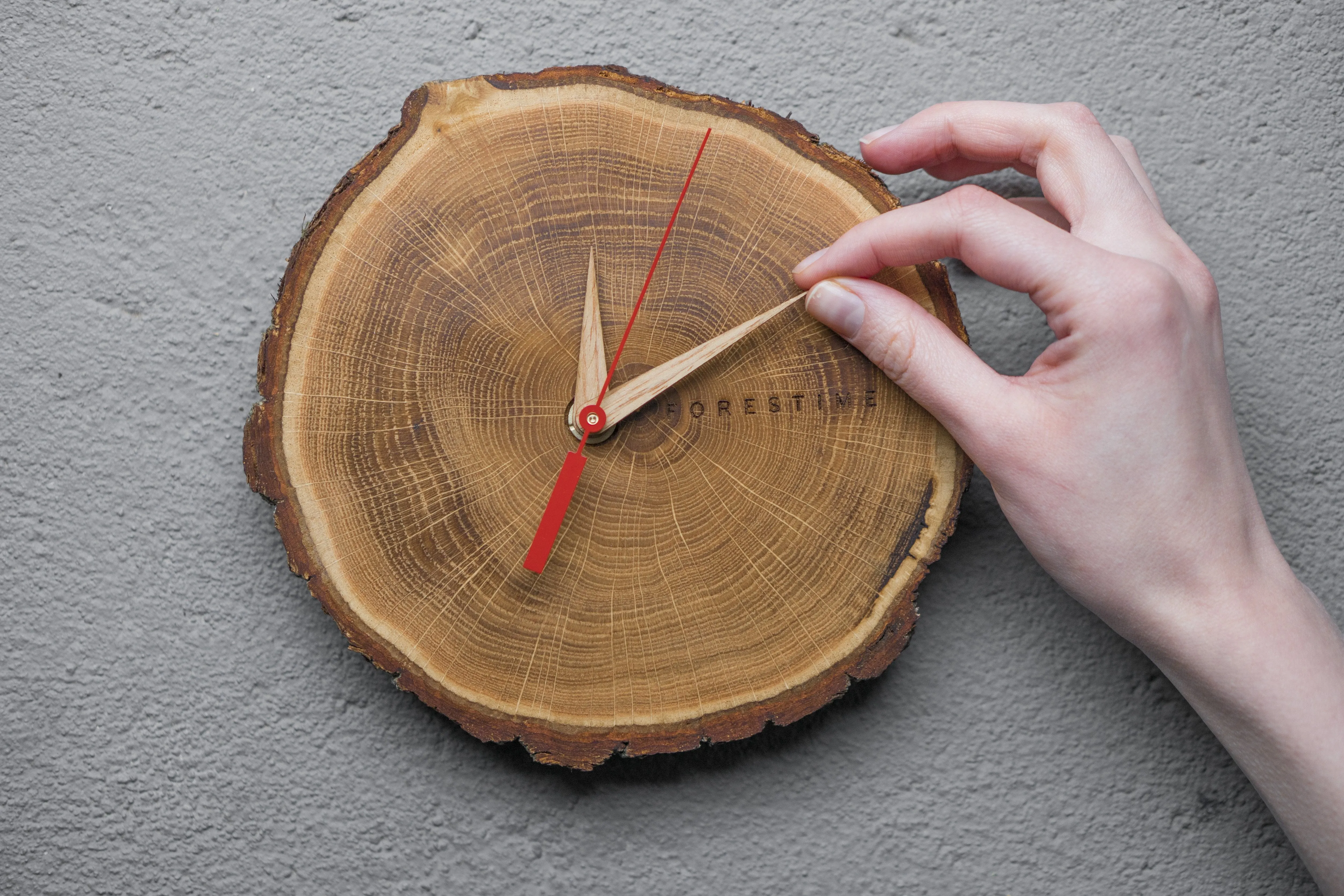 Laika Oak Slice Wall Clock