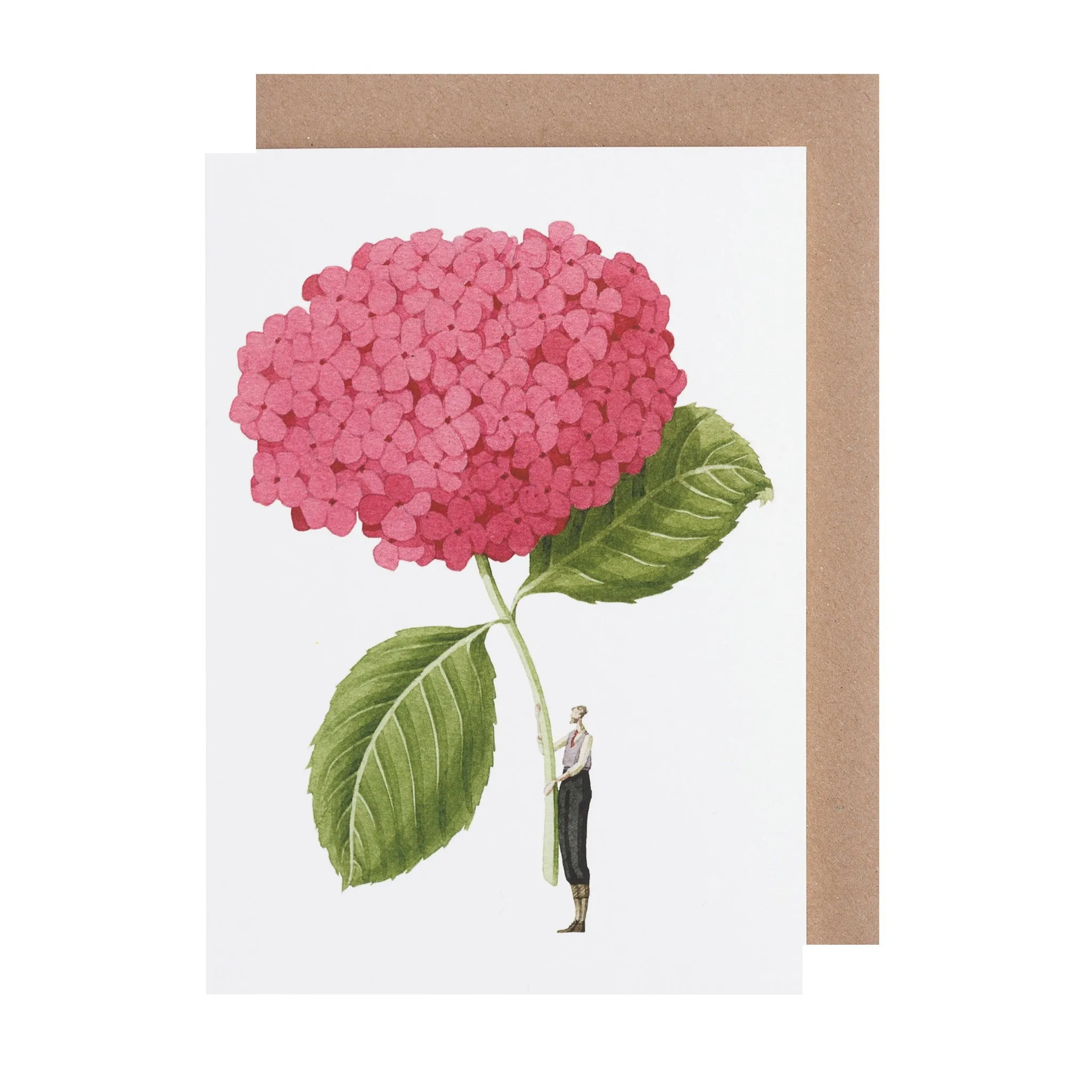 Pink Hydrangea Greeting Card